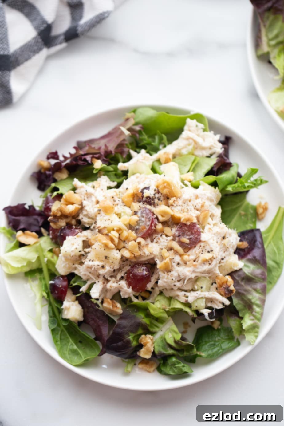 Ultimate Healthy Grape Chicken Salad Recipe 10 A close-up shot of a healthy chicken salad with grapes, beautifully served over mixed greens and garnished with fresh parsley, ready to be enjoyed.