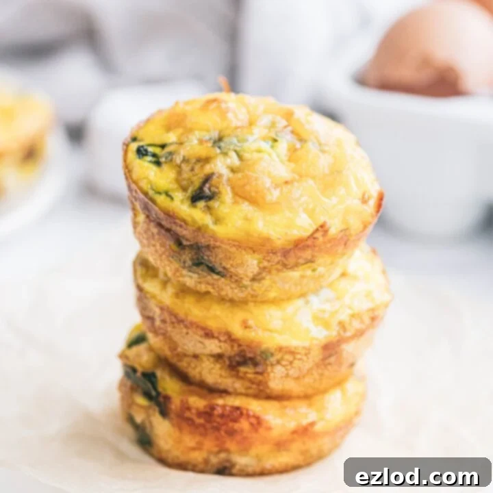 Cheesy Bacon Breakfast Bites