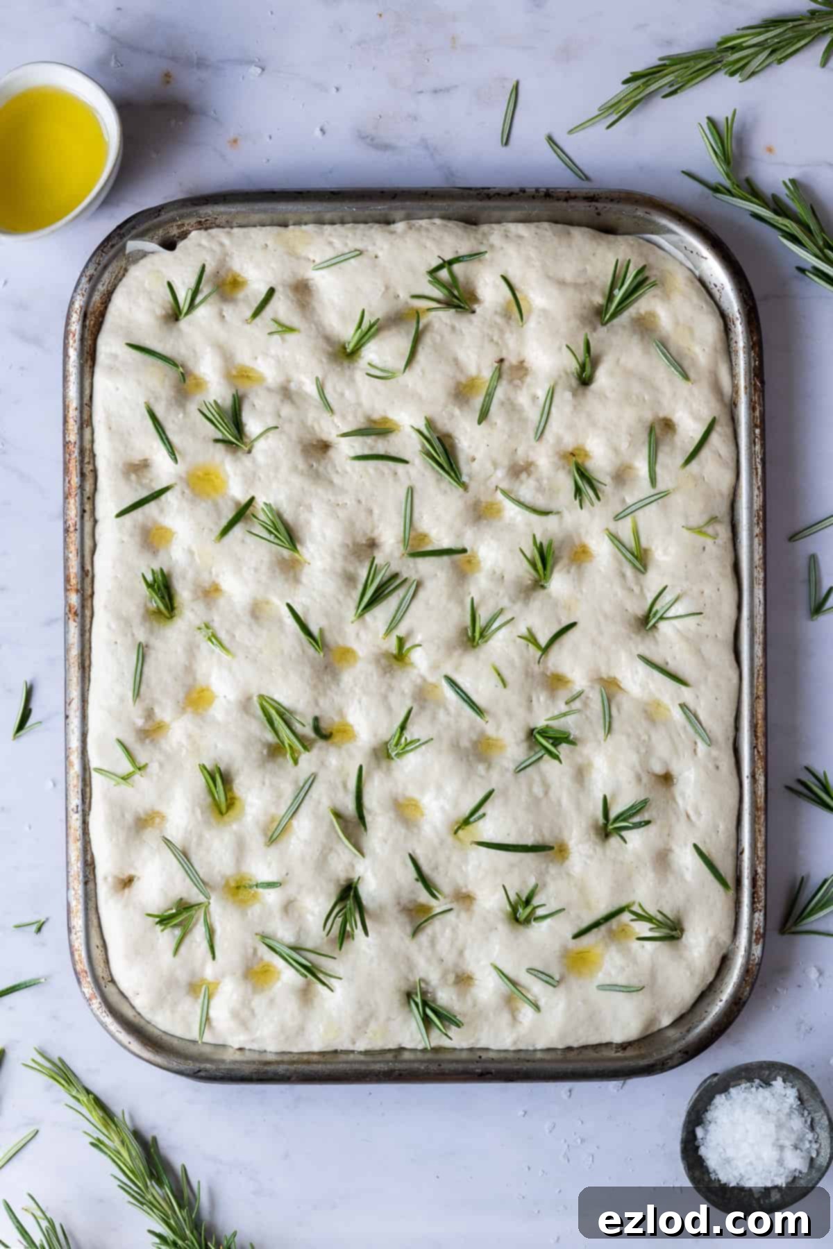 Focaccia Ready for Oven The unbaked focaccia dough in a roasting tin, topped with olive oil, sea salt, oregano, and fresh rosemary, perfectly dimpled and ready for baking.
