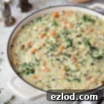 Close up of a pan of creamy vegetable rice soup.