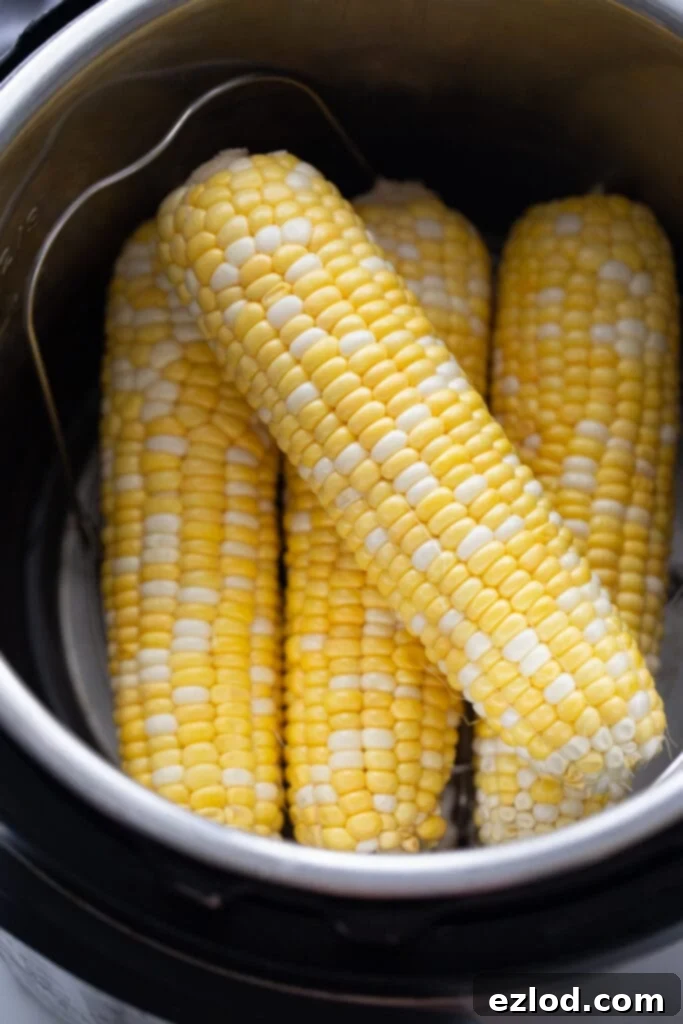 Overhead image: Corn on the cob in the instant pot, ready to be cooked