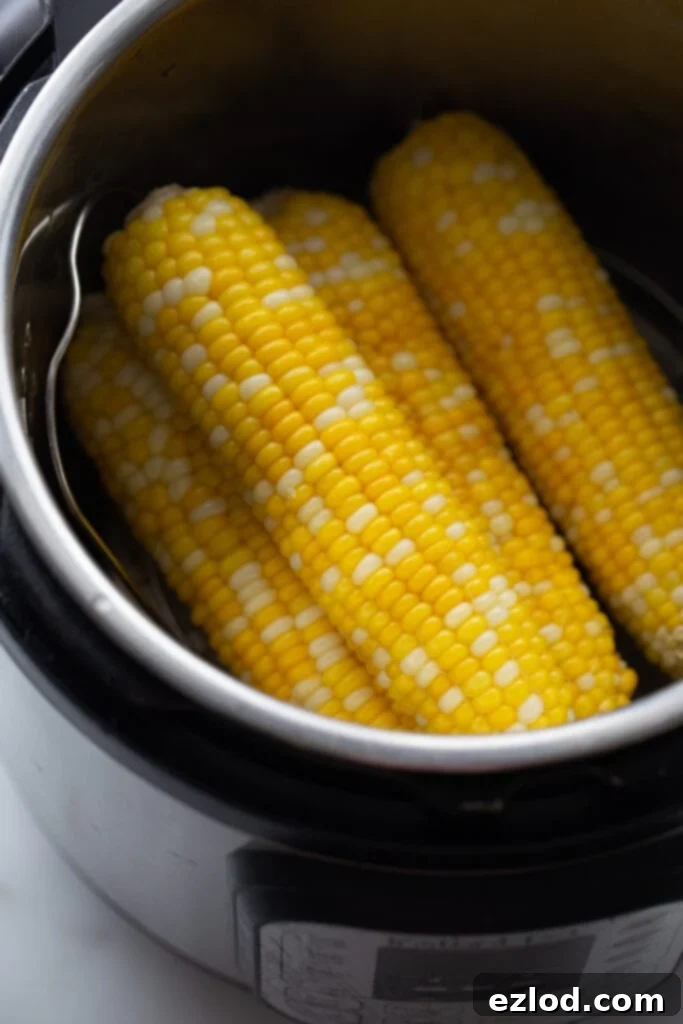 Finished corn on the cob in the Instant Pot
