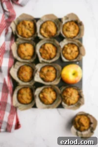 Baked healthy apple muffins in a muffin tin.