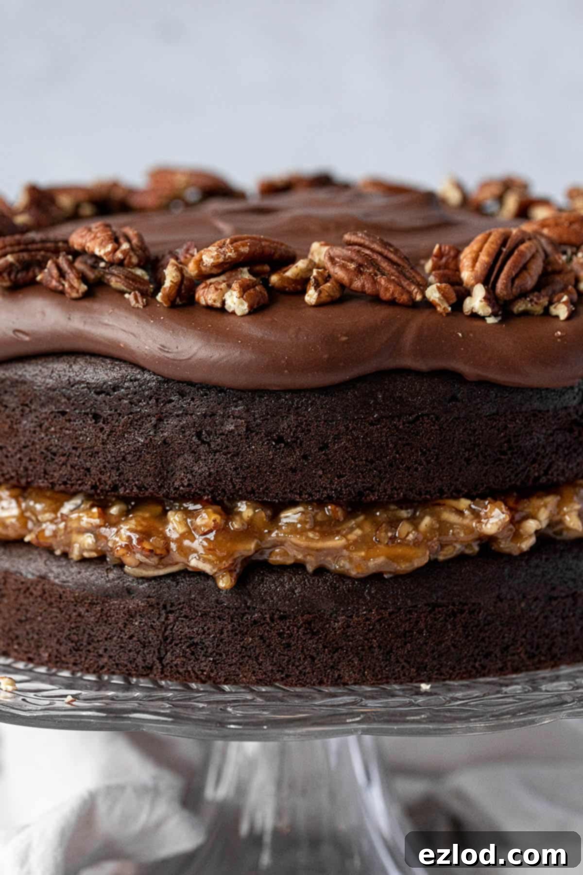 Close up of German chocolate cake.