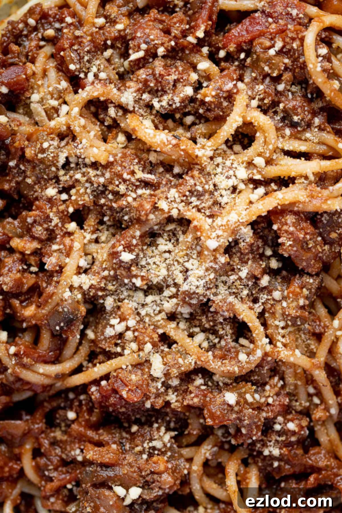 Close up of lentil walnut spaghetti bolognese.