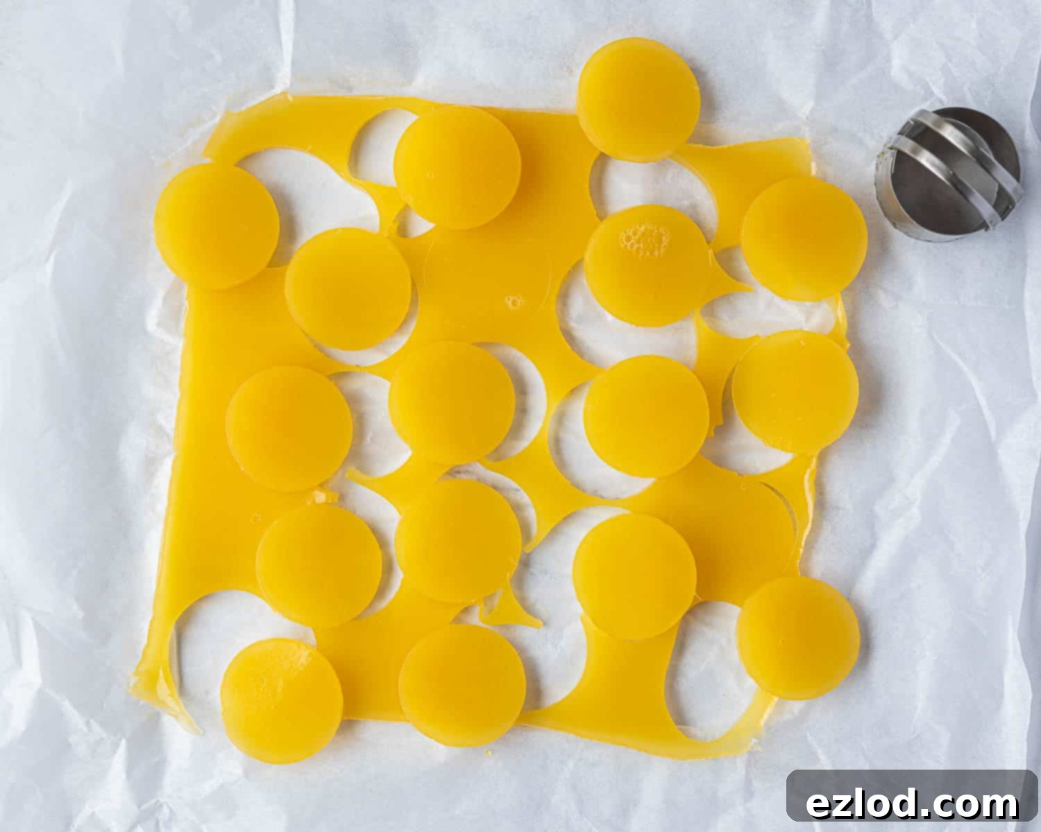 Step 5, the jelly cut into circles.