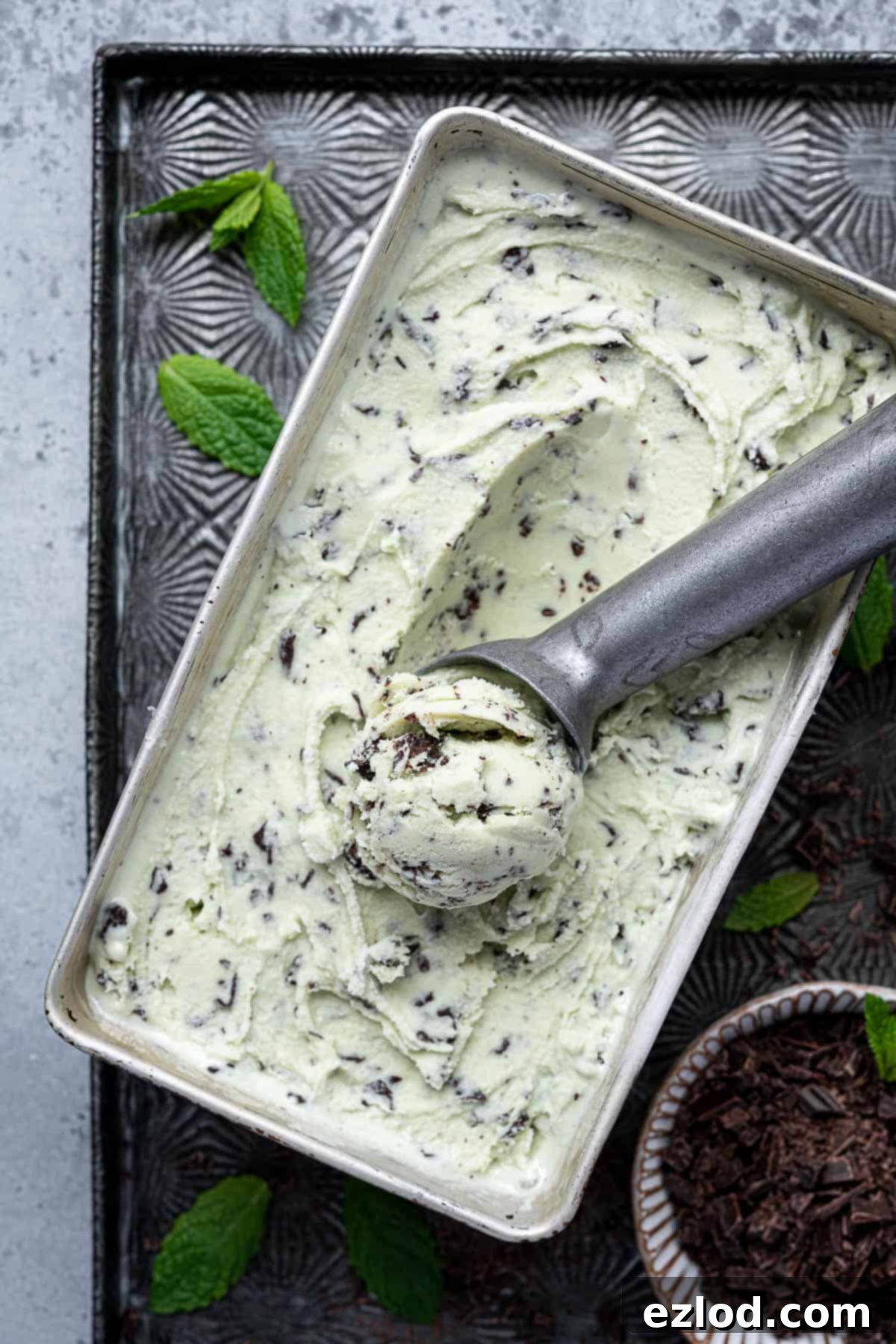 Vegan mint choc chip ice cream with a metal scoop.