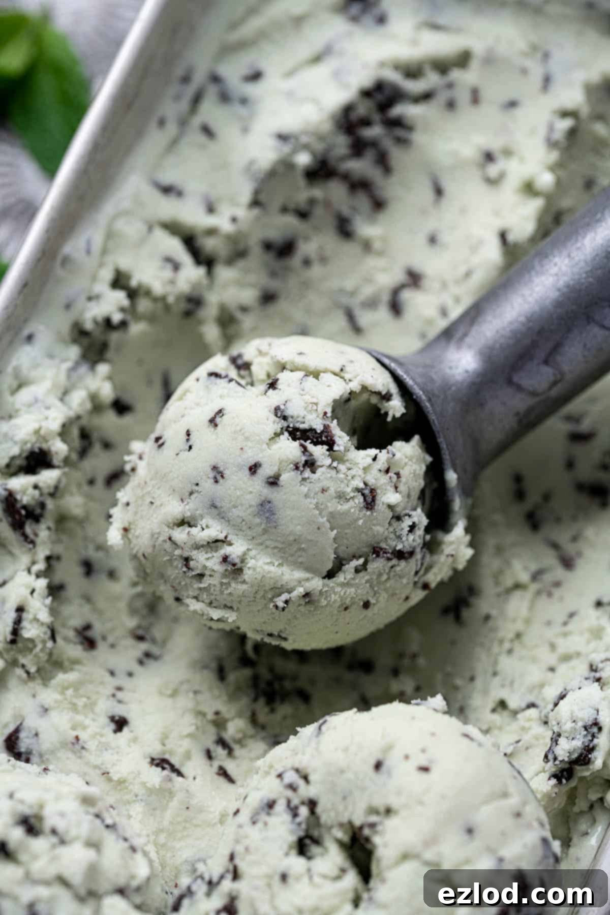 Close up of a scoop of ice cream.