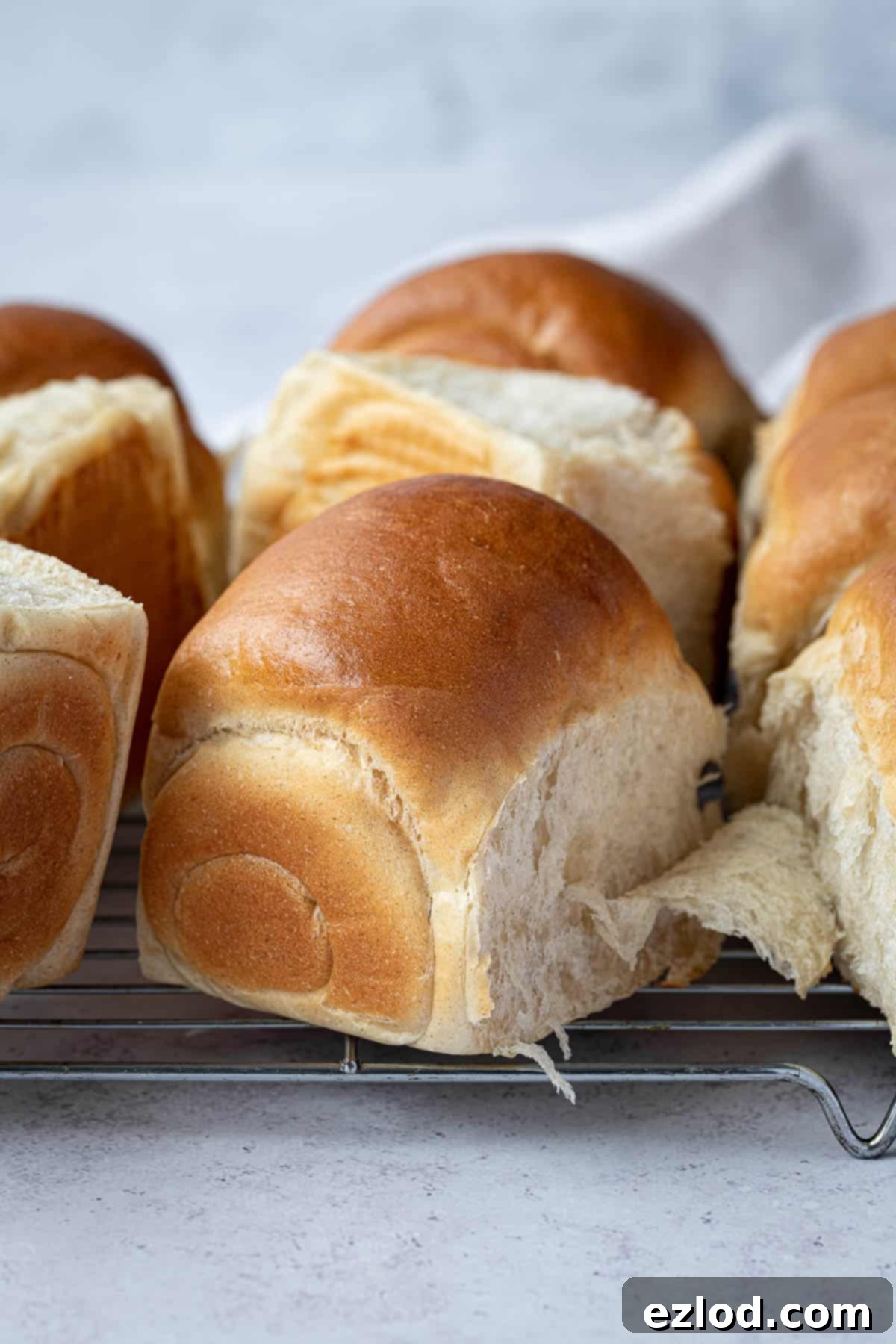 Close up of a vegan milk bread roll.