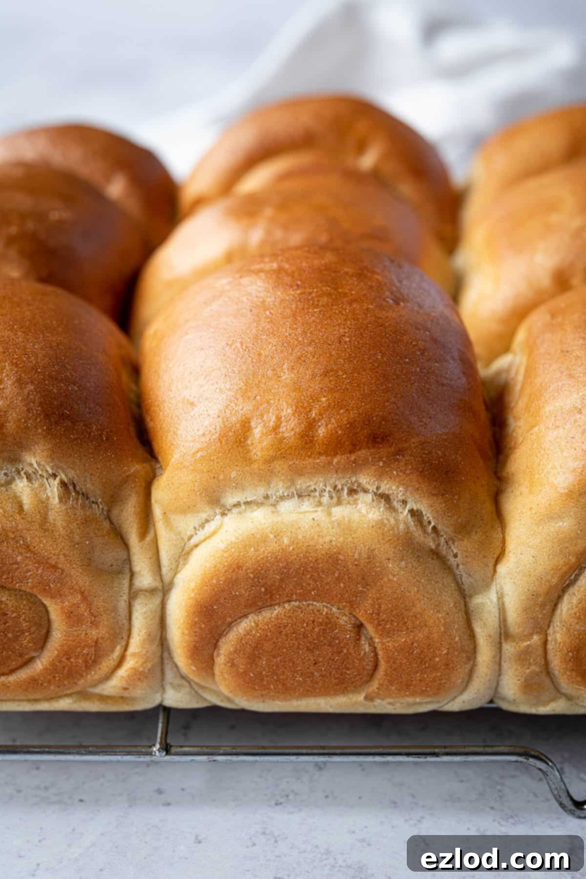 Close up of vegan dinner rolls.