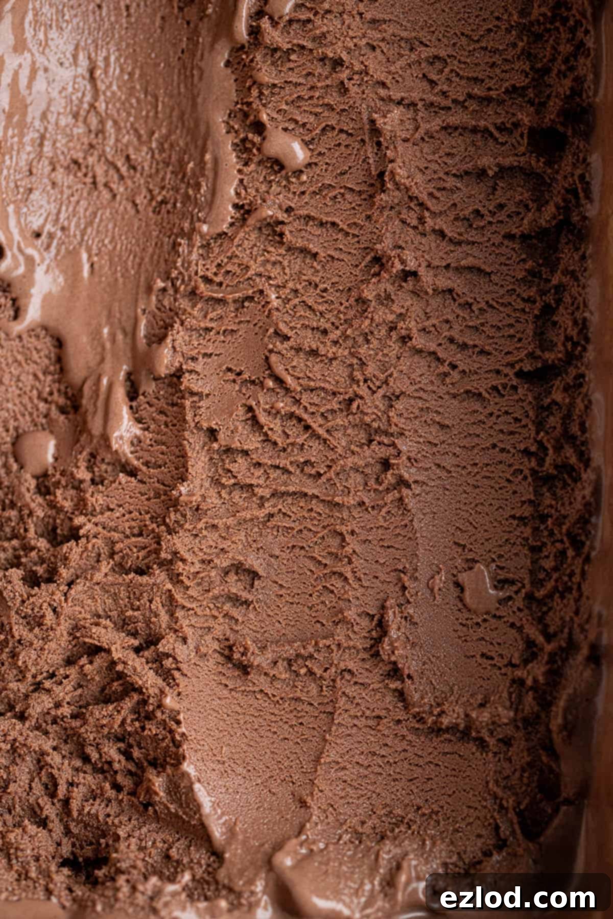 Close up view of the velvety smooth malted chocolate vegan ice cream, showcasing its rich brown color and delightful texture.