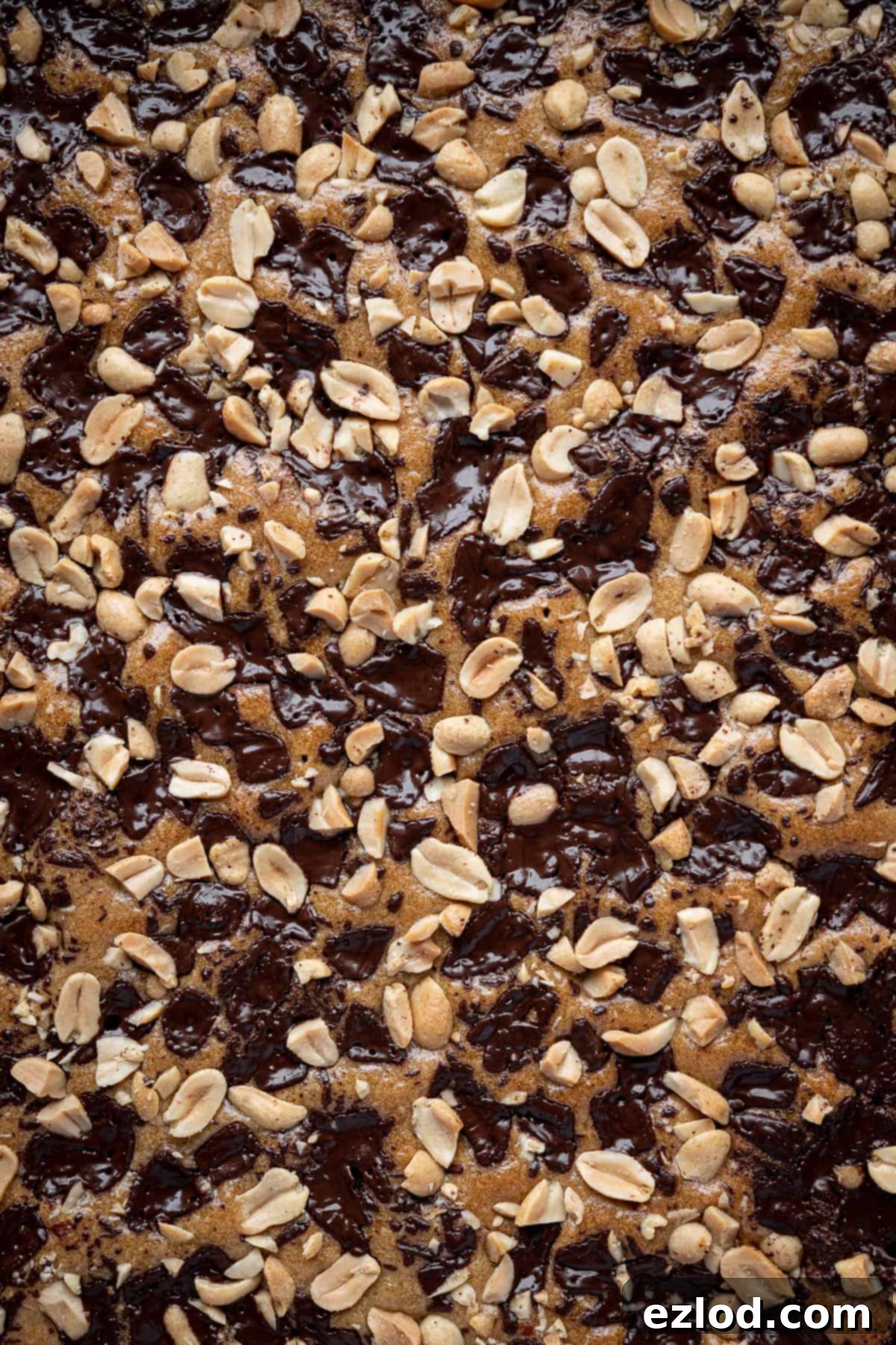 Close up view of the Vegan Peanut Butter Cake's delicious texture and generous toppings.