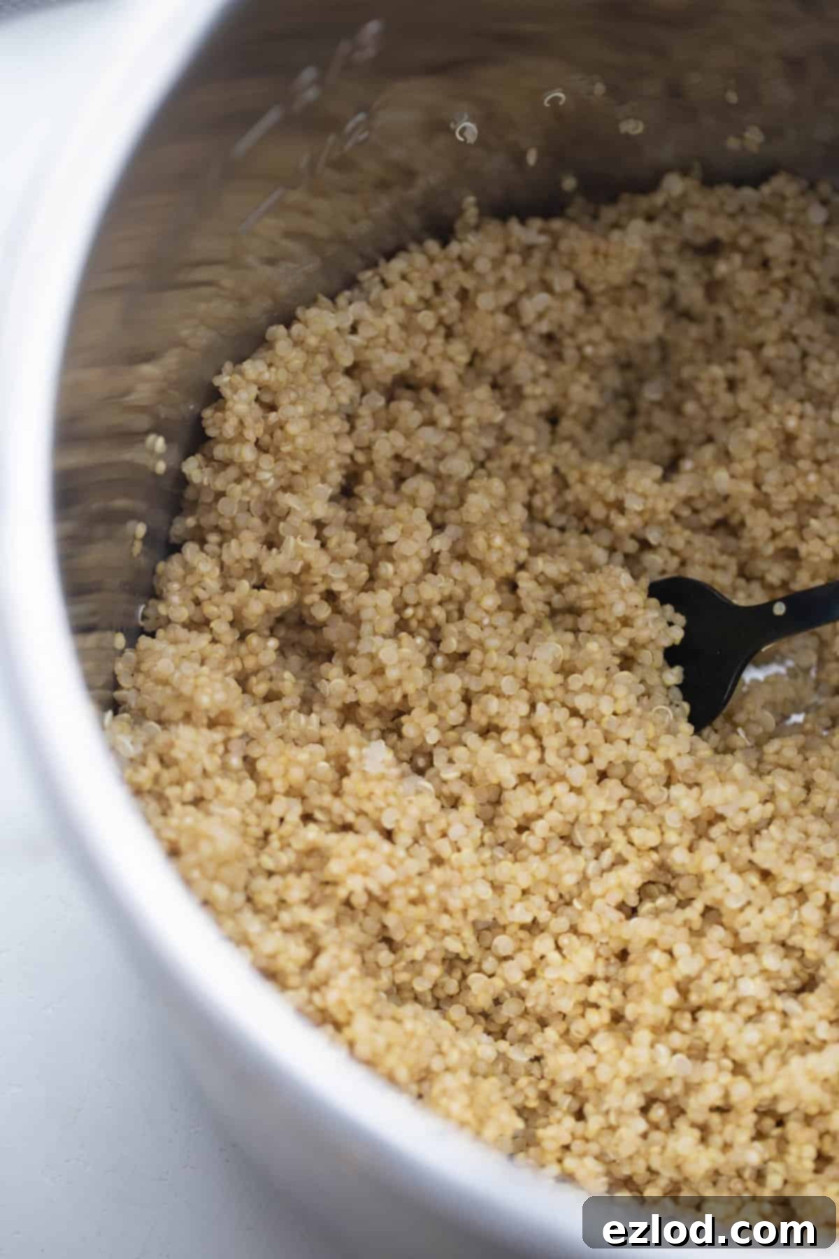Overhead shot of quinoa in an instant pot.