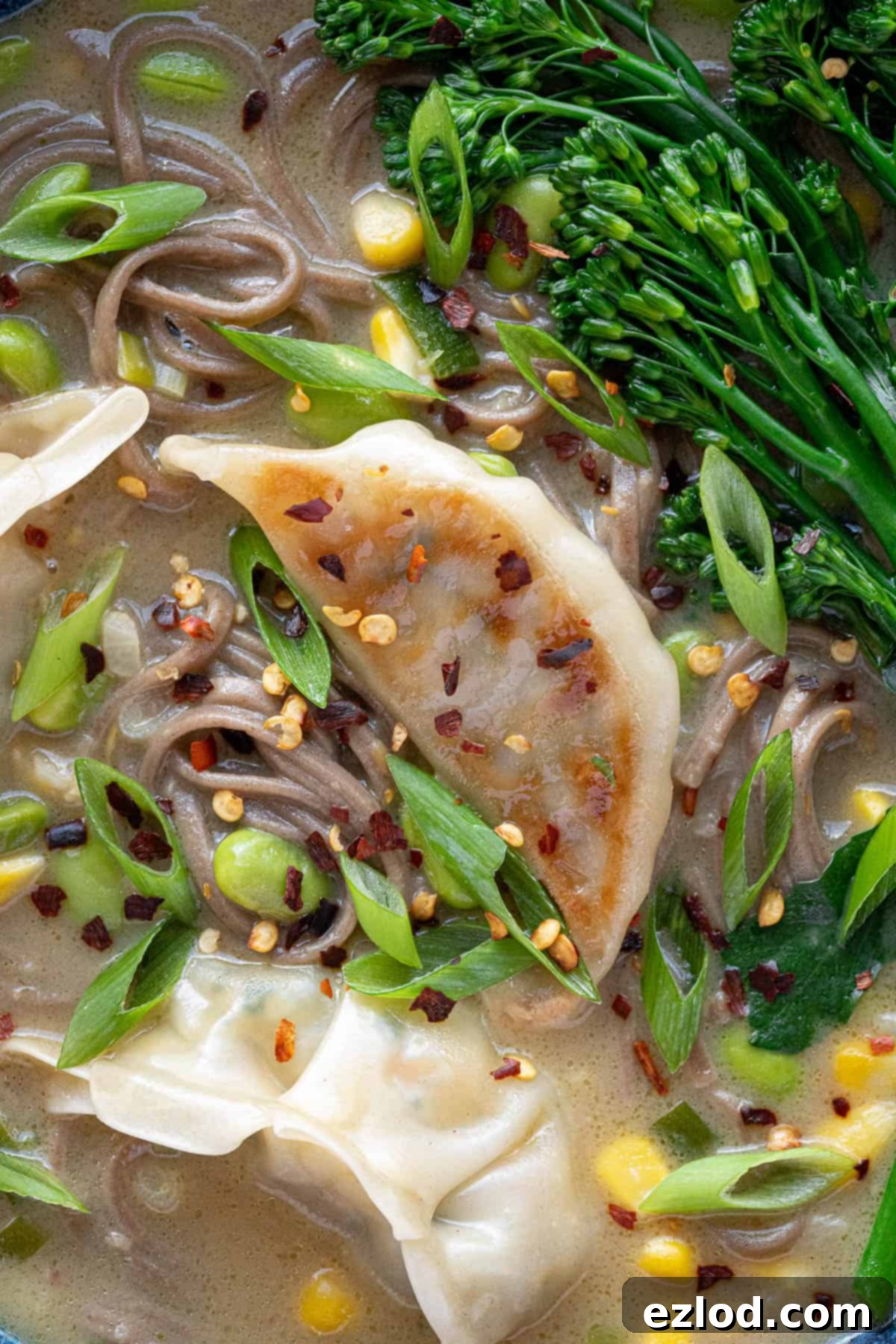 Close up of a gyoza in the soup.