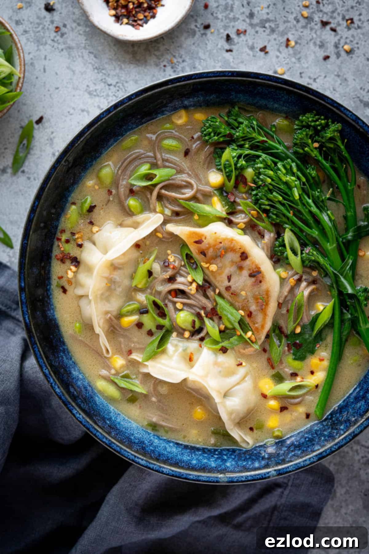 Close up of a bowl of coconut gyoza noodle soup.