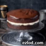 Vegan Guinness chocolate cake on a cake stand with a can of Guinness.