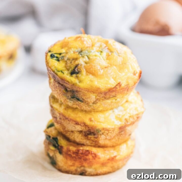 Cheesy Bacon Breakfast Bites