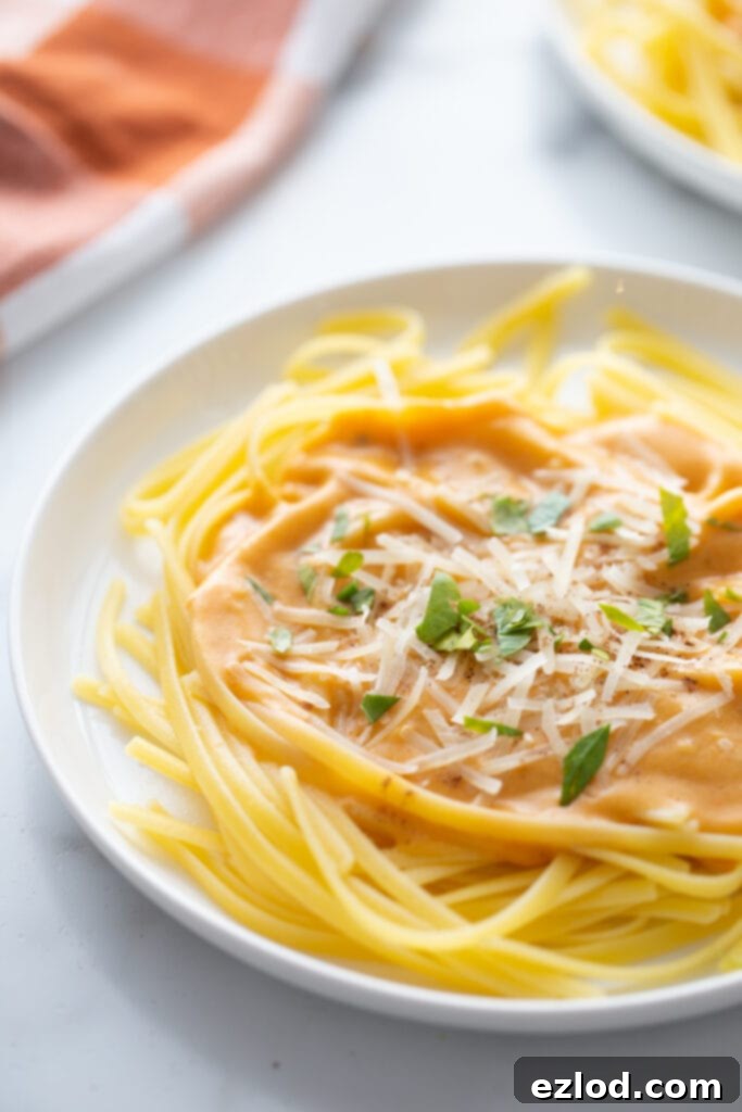 Fettuccine pasta with pumpkin Alfredo sauce on a rimmed white plate. Sauce is topped with shredded parmesan and garnished with parsley.