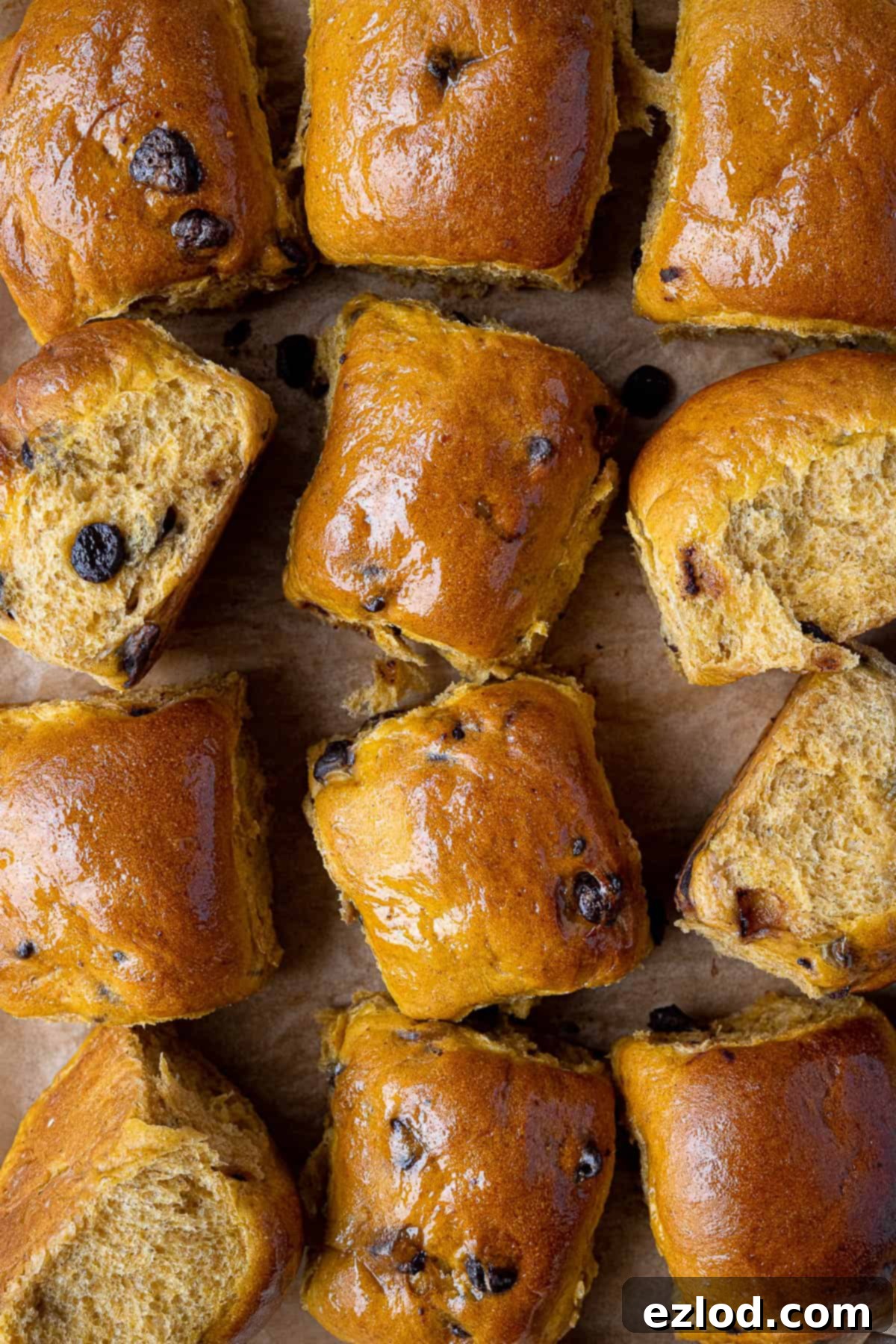 A close-up view of two soft, fluffy chocolate chip pumpkin rolls, showcasing their golden-brown crust and visible chocolate chips.