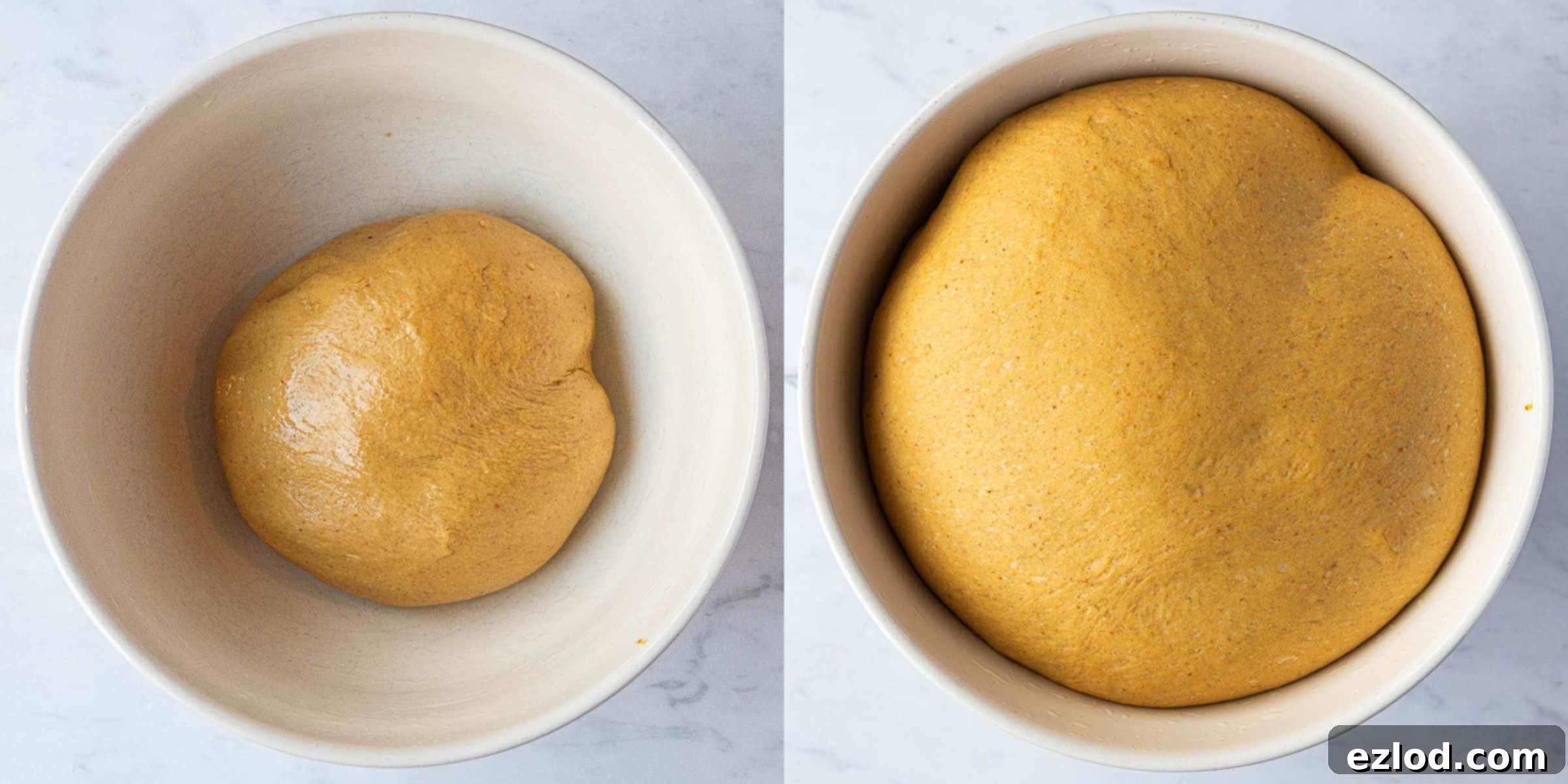 A two-image collage showing the dough before and after its first rise, demonstrating a clear doubling in size.