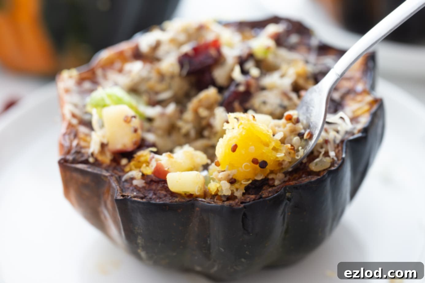Close up photo of a fork digging into acorn squash stuffed with fall flavors.
