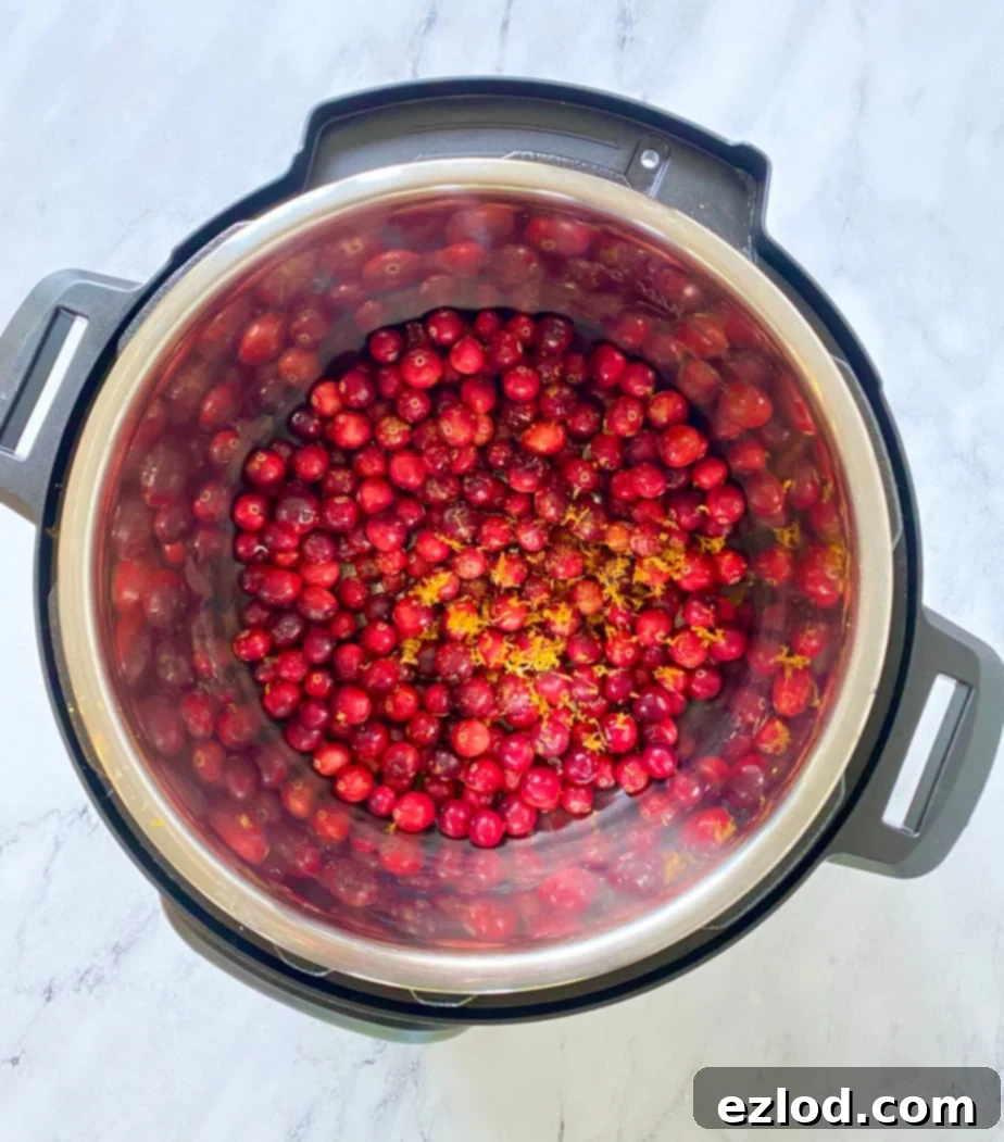 Overhead image: whole fresh cranberries and orange zest in an Instant Pot.
