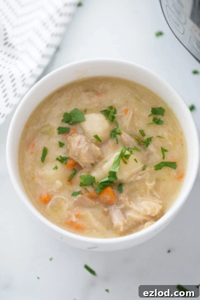 Overhead image: white bowl full of chicken and dumplings topped with parsley.