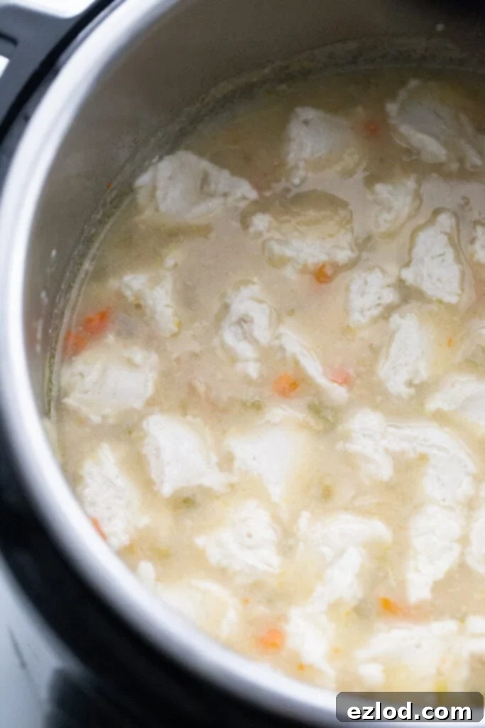 Overhead image: Gluten free dumplings in broth in an Instant Pot