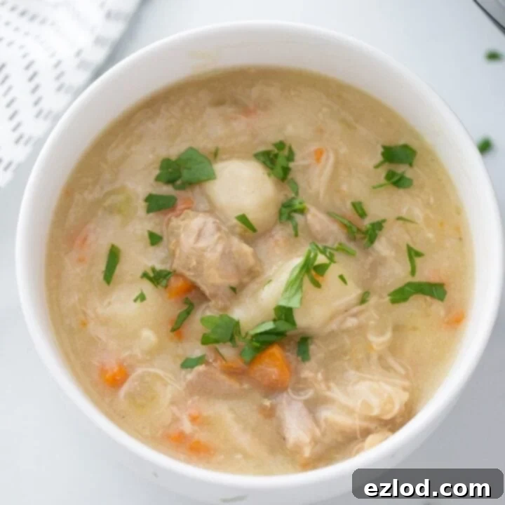 Instant Pot Chicken and Dumplings