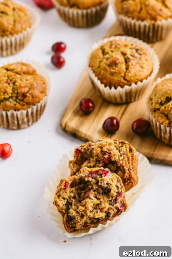 A close up of healthy 21 day fix orange and cranberry muffins