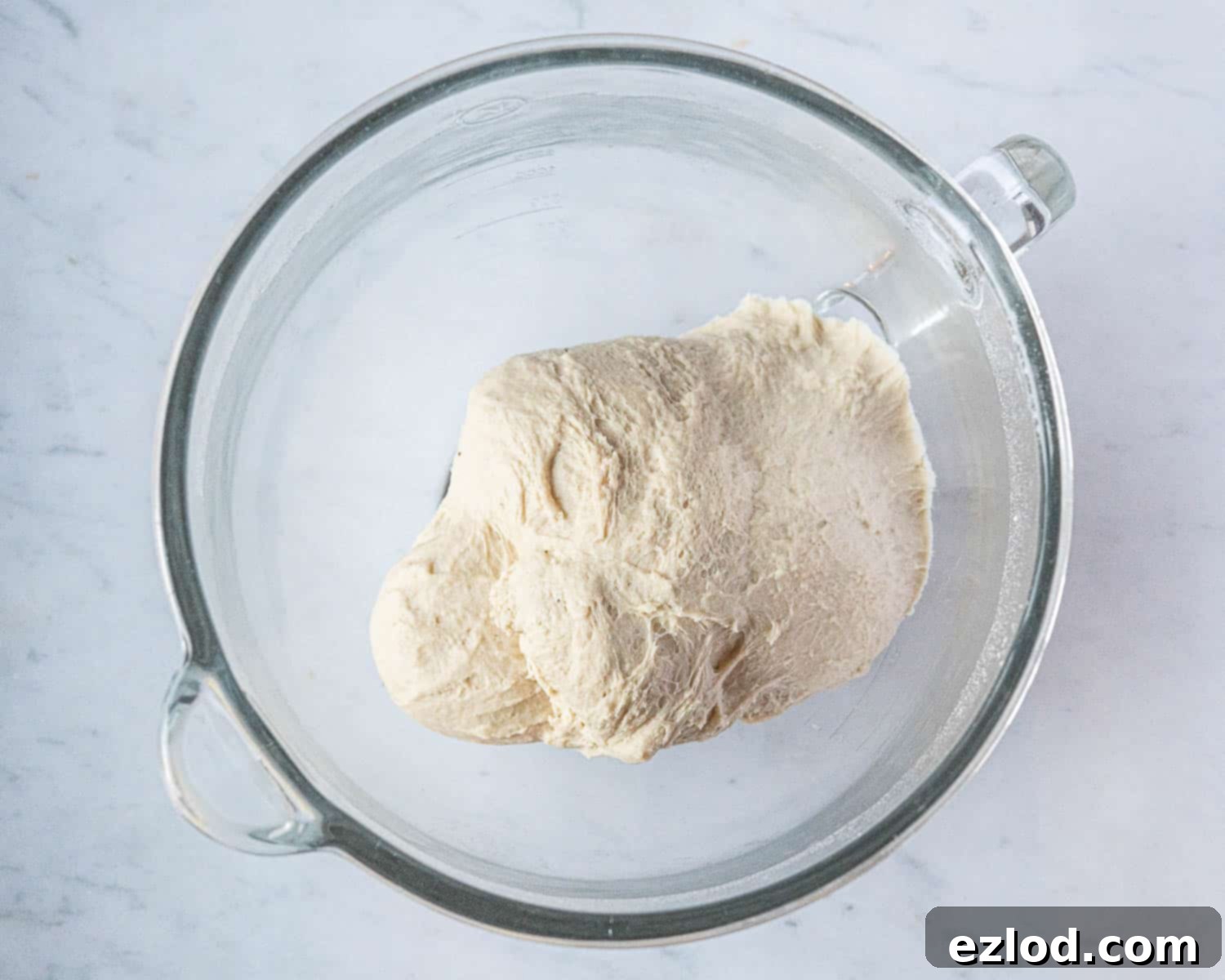Step 2, the kneaded dough, smooth and elastic.