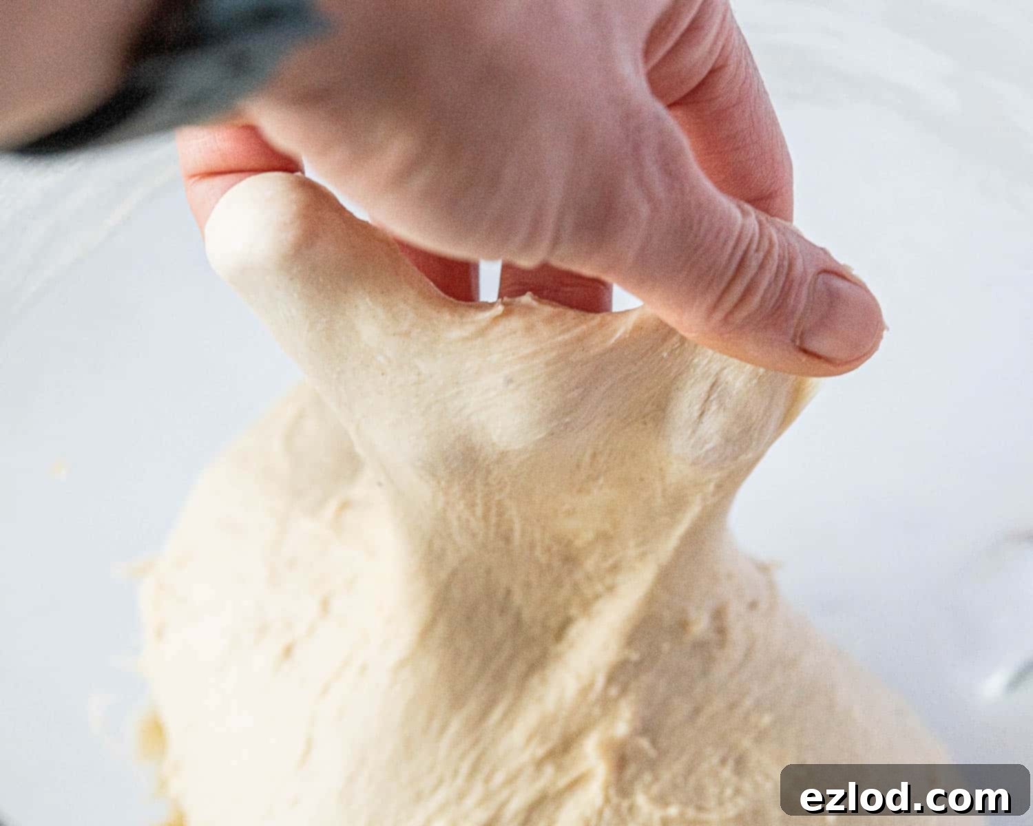 Step 4, illustrating the windowpane test with a stretched piece of dough.