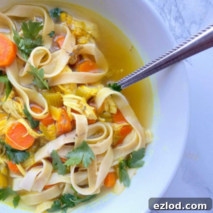 Instant Pot Chicken Noodle Soup