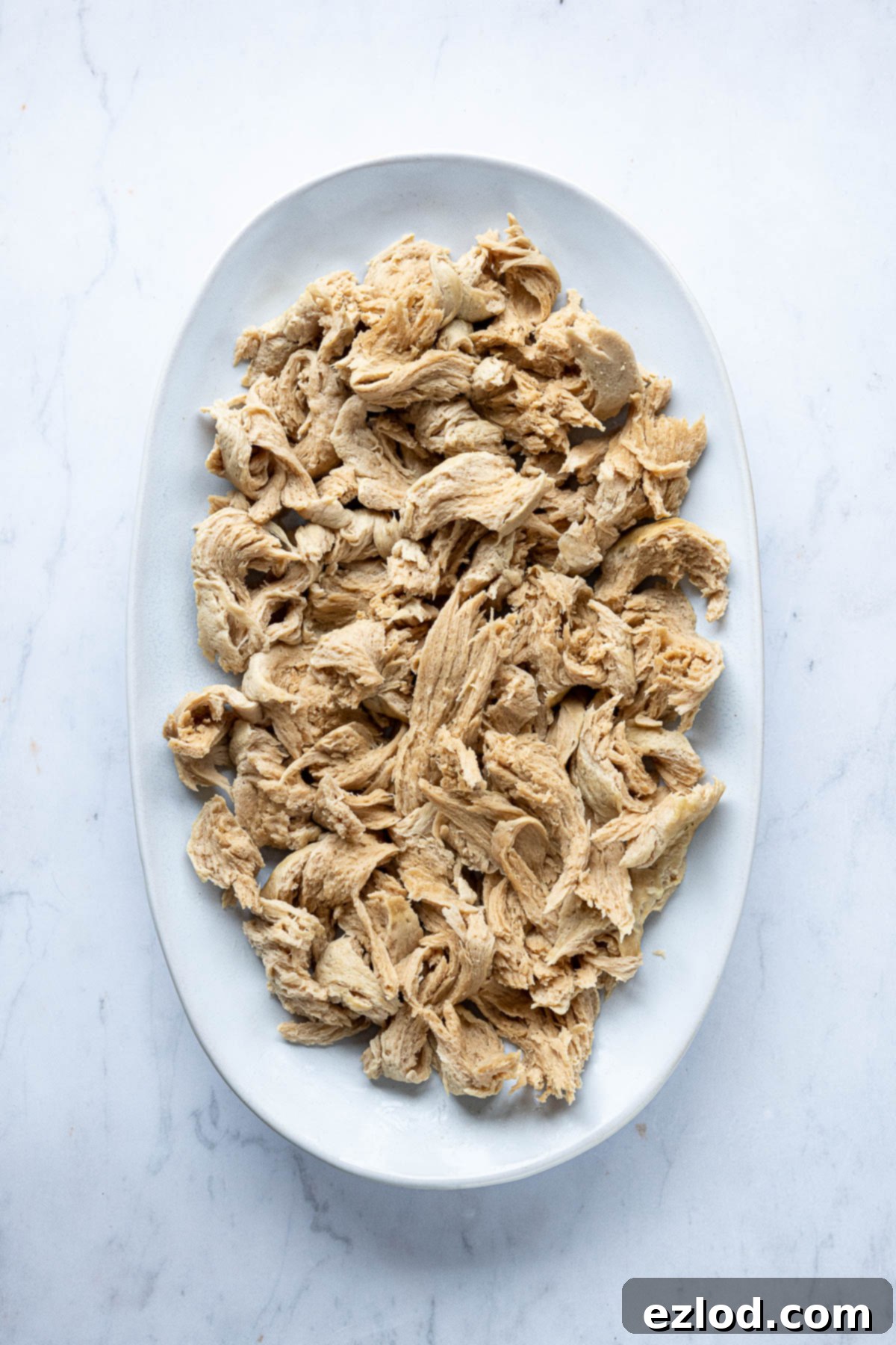 Shredded seitan chicken on a plate.
