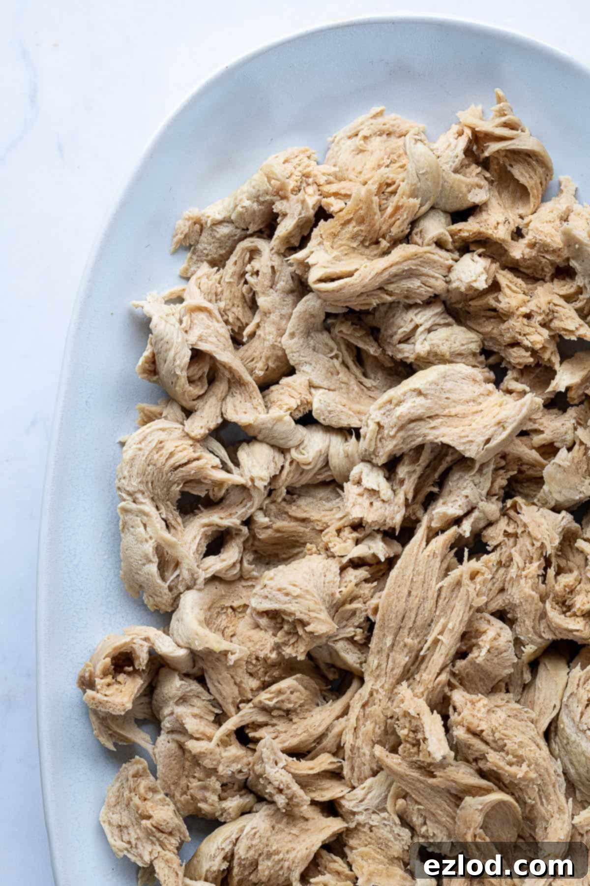 Close up of seitan chicken on a plate.