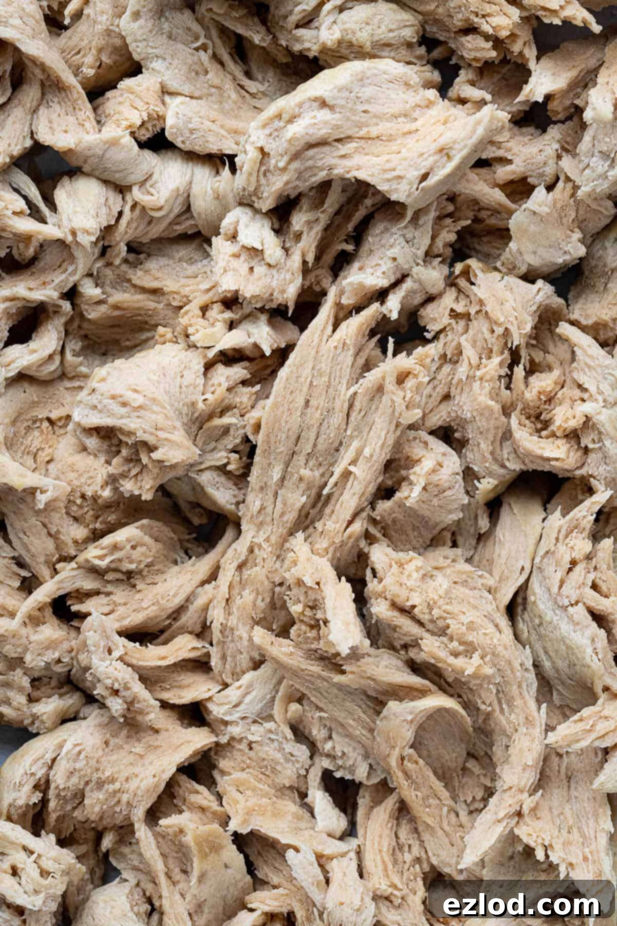 Close up of the shredded seitan.