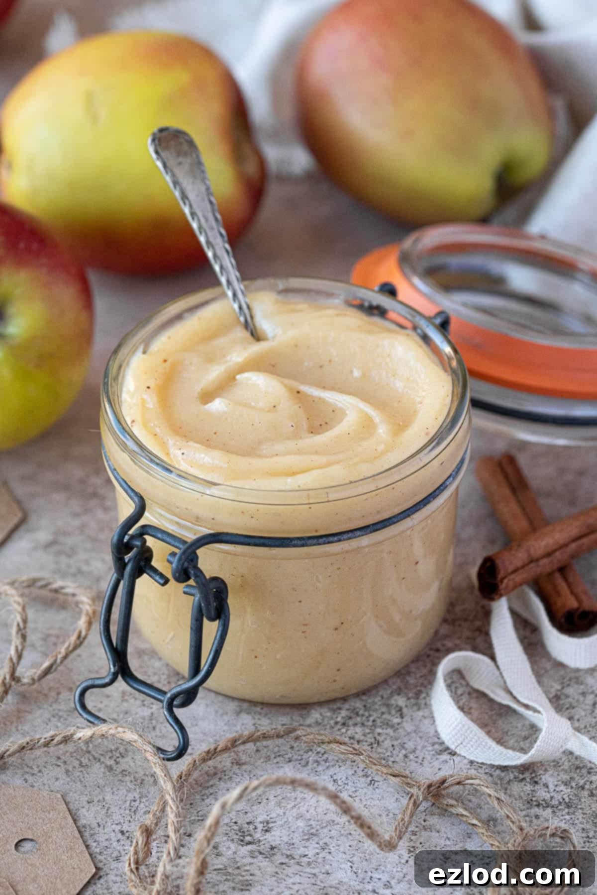 Homemade vegan apple curd in a luxurious glass jar, surrounded by fresh apples and twine. It looks vibrant and inviting.
