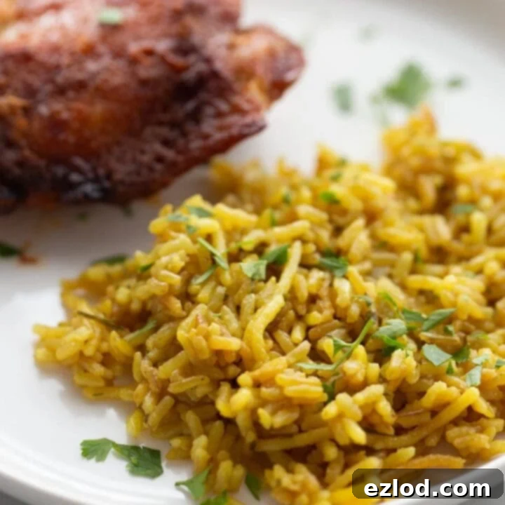 Copycat Rice a Roni
