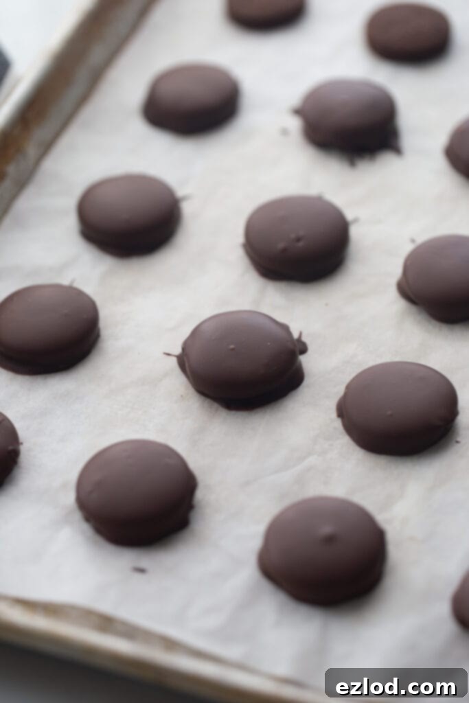 Copy Cat Homemade Thin Mint Cookies on a sheet pan covered in parchment paper