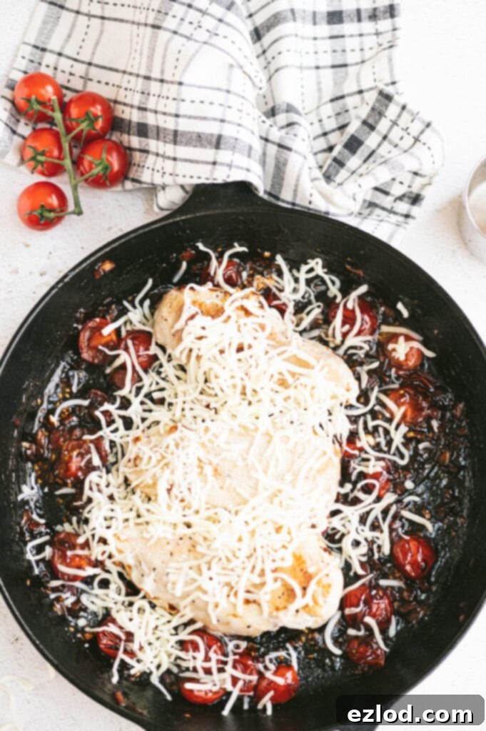 Overhead photo of a cast iron skillet full of caprese chicken, in process. The mozzarella cheese needs to melt on top of the chicken and tomato mixture.