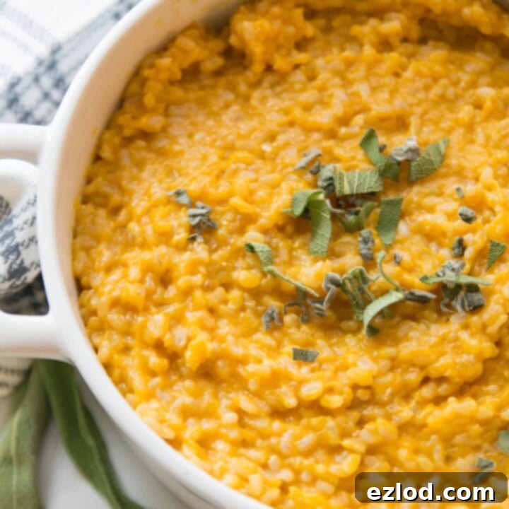 Instant Pot Butternut Squash Risotto