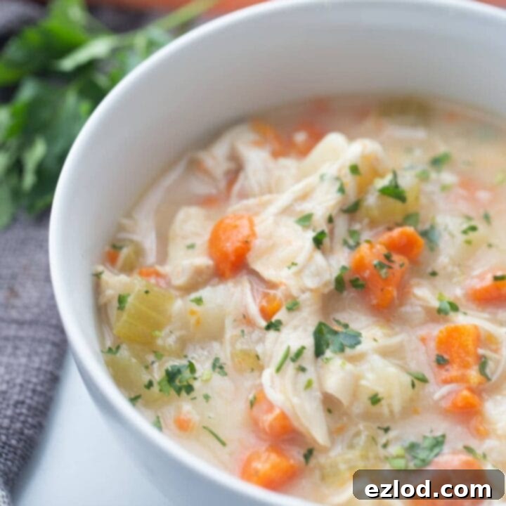Chicken Pot Pie Soup