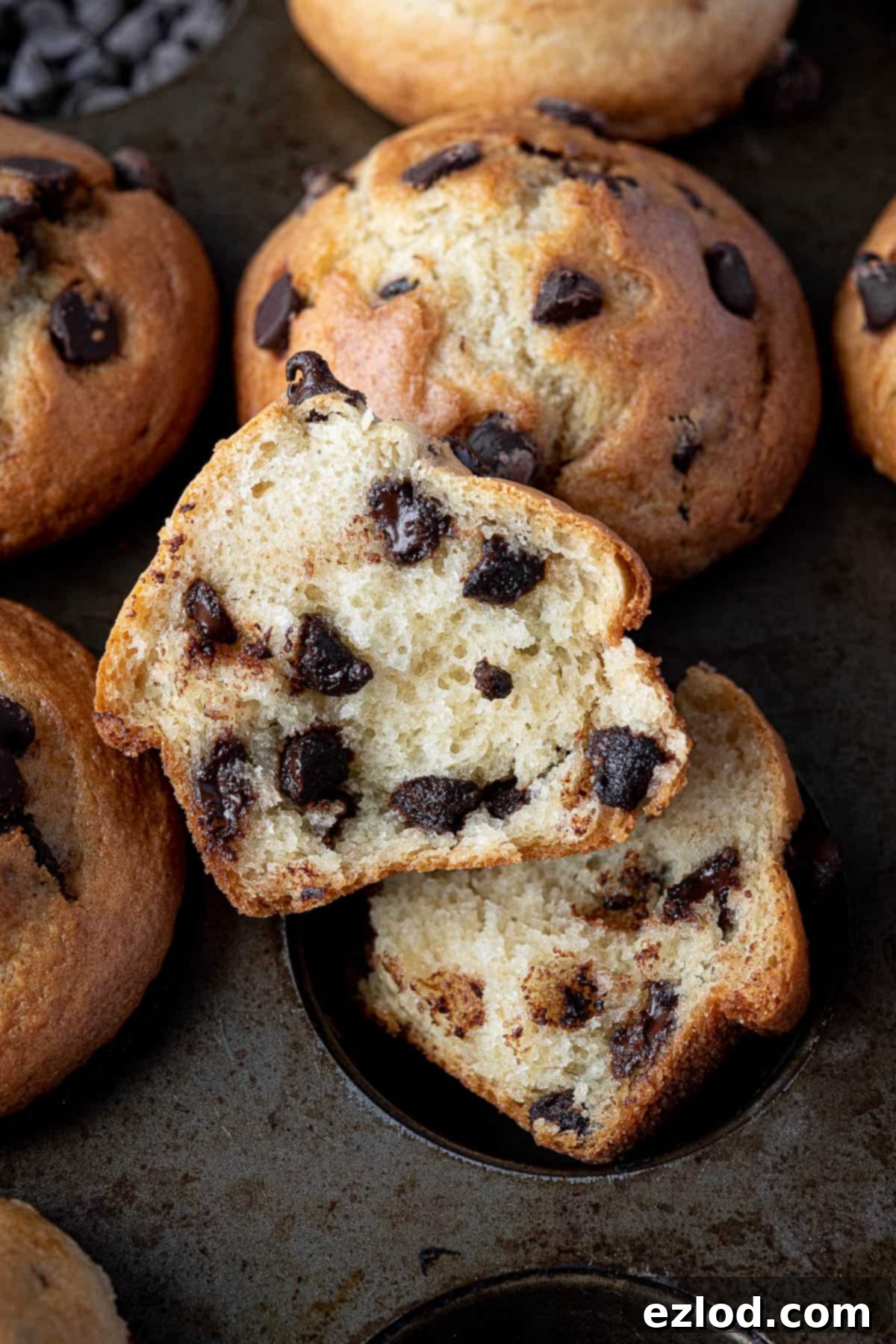 Close up of a vegan chocolate chip muffin torn in half, revealing its soft, moist interior and melted chocolate.