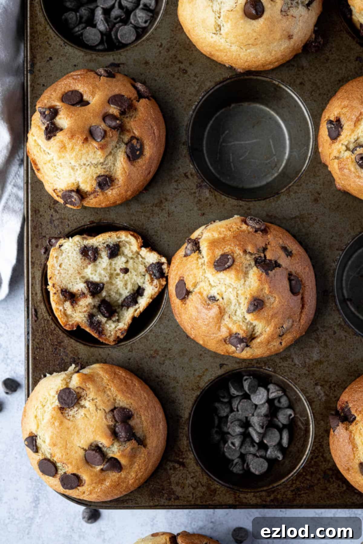 A selection of vegan chocolate chip muffins in a muffin tin, with one muffin torn in half to show its soft interior.