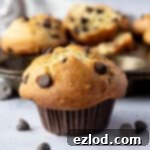 Close up of a vegan chocolate chip muffin.
