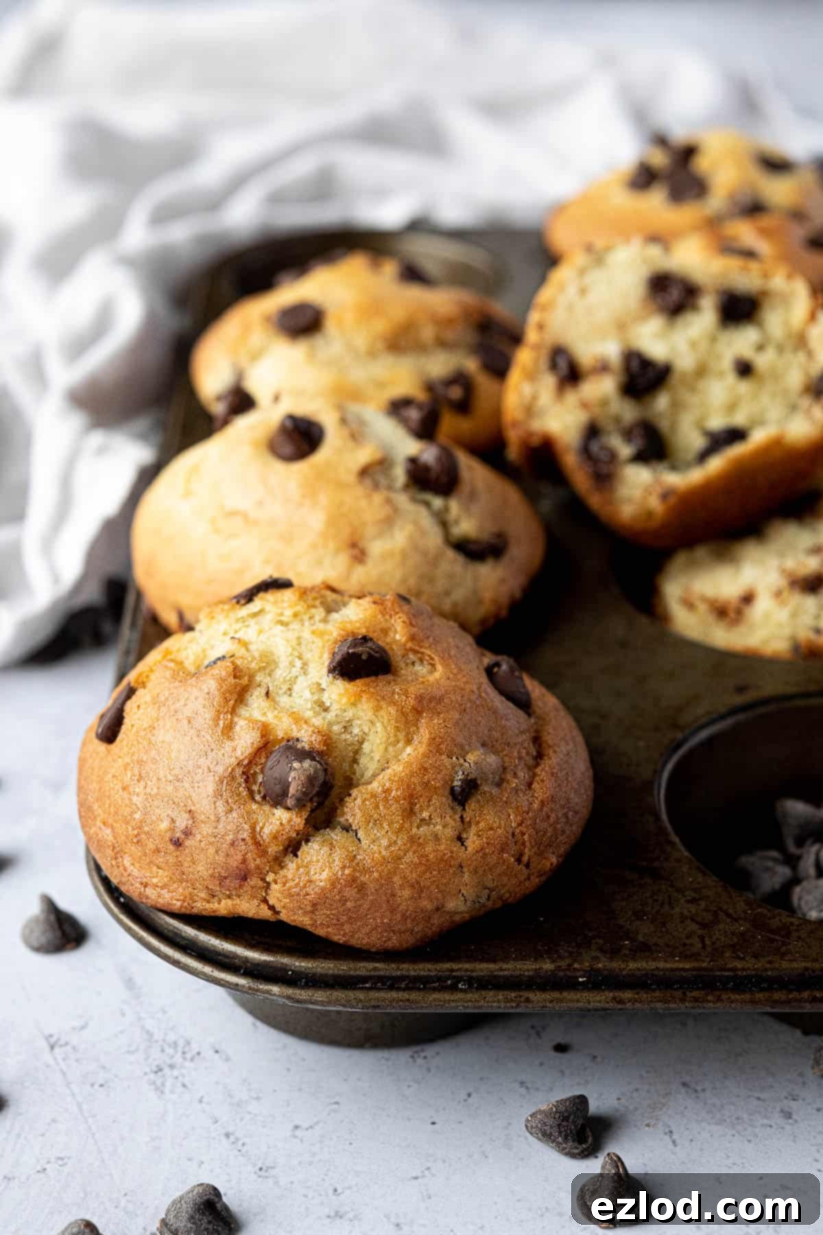 Close-up of a batch of vegan chocolate chip muffins cooling in a muffin tin.