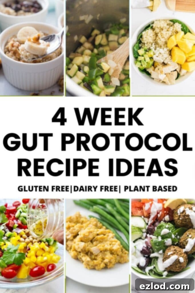 A second collage of inspiring recipes for the 4 Week Gut Protocol, showcasing diverse ingredients for gut health.