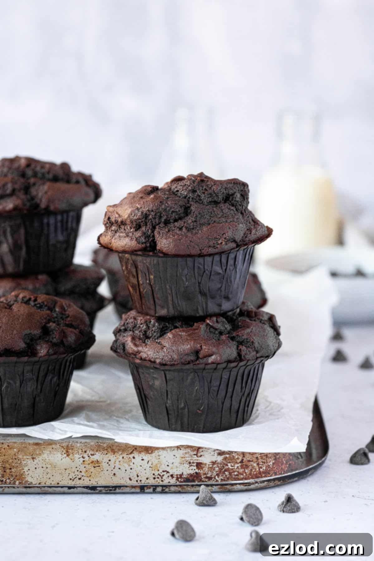 A stack of vegan double chocolate muffins on top of a baking tray with milk bottles in the background. Highlighting their jumbo size and delicious texture.