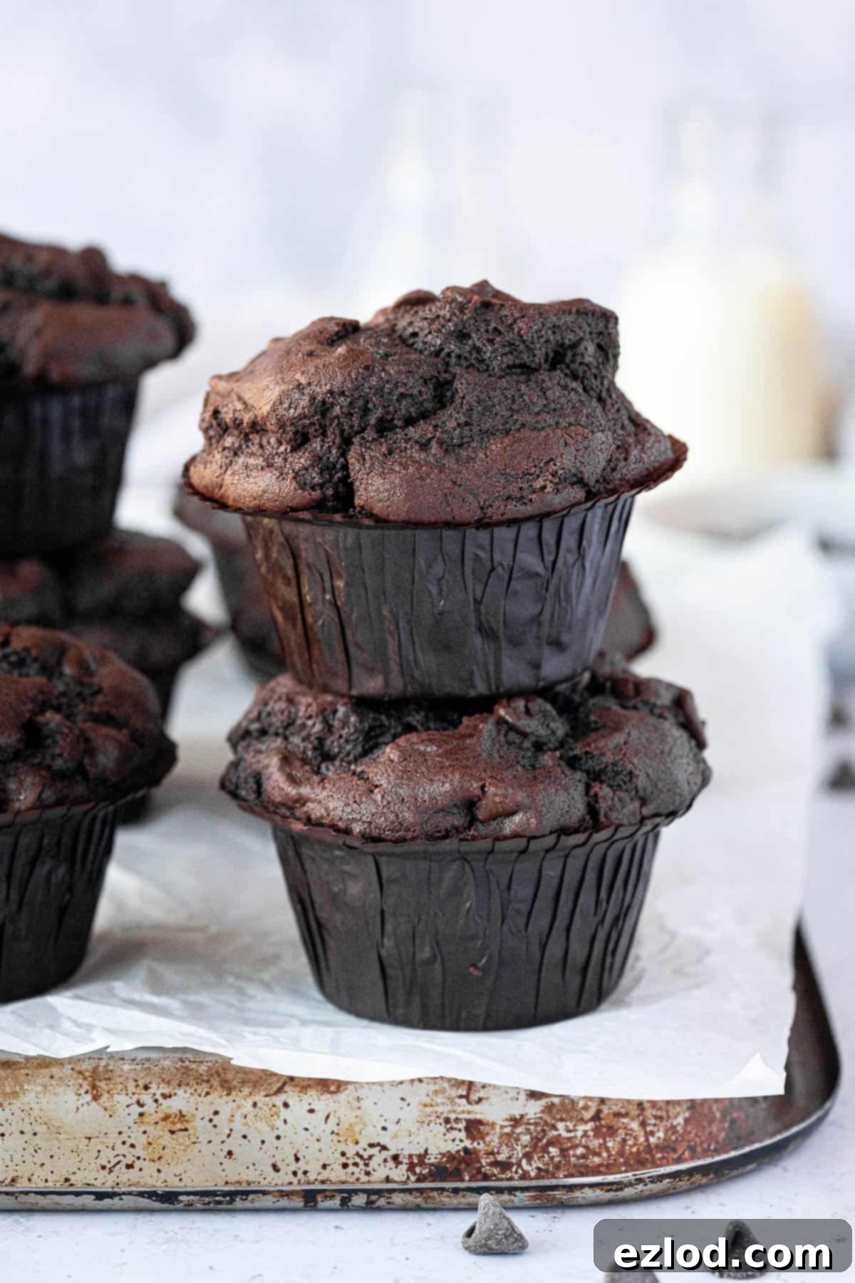 A stack of two perfectly baked vegan double chocolate muffins, ready to be enjoyed.