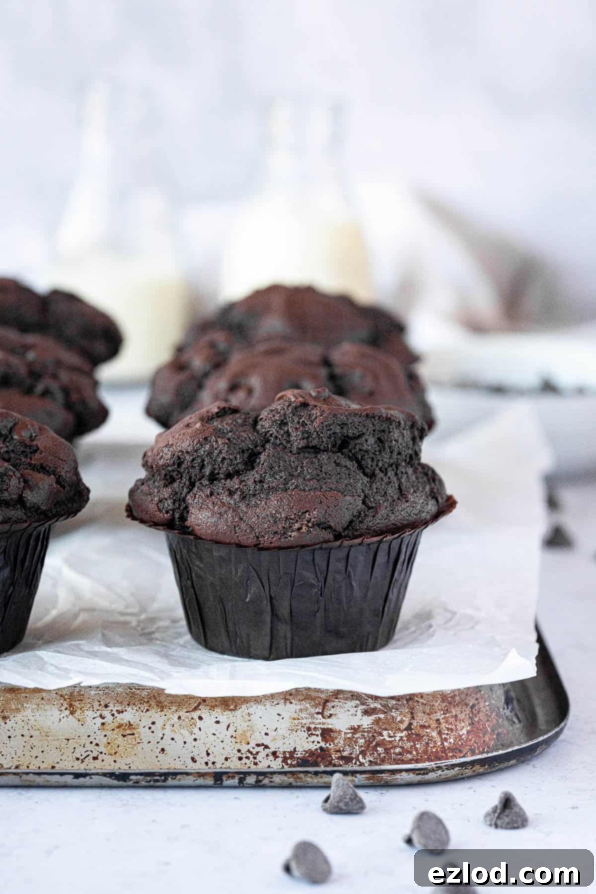 Rows of baked vegan double chocolate muffins arranged neatly on a baking tray, showcasing their perfect dome tops.